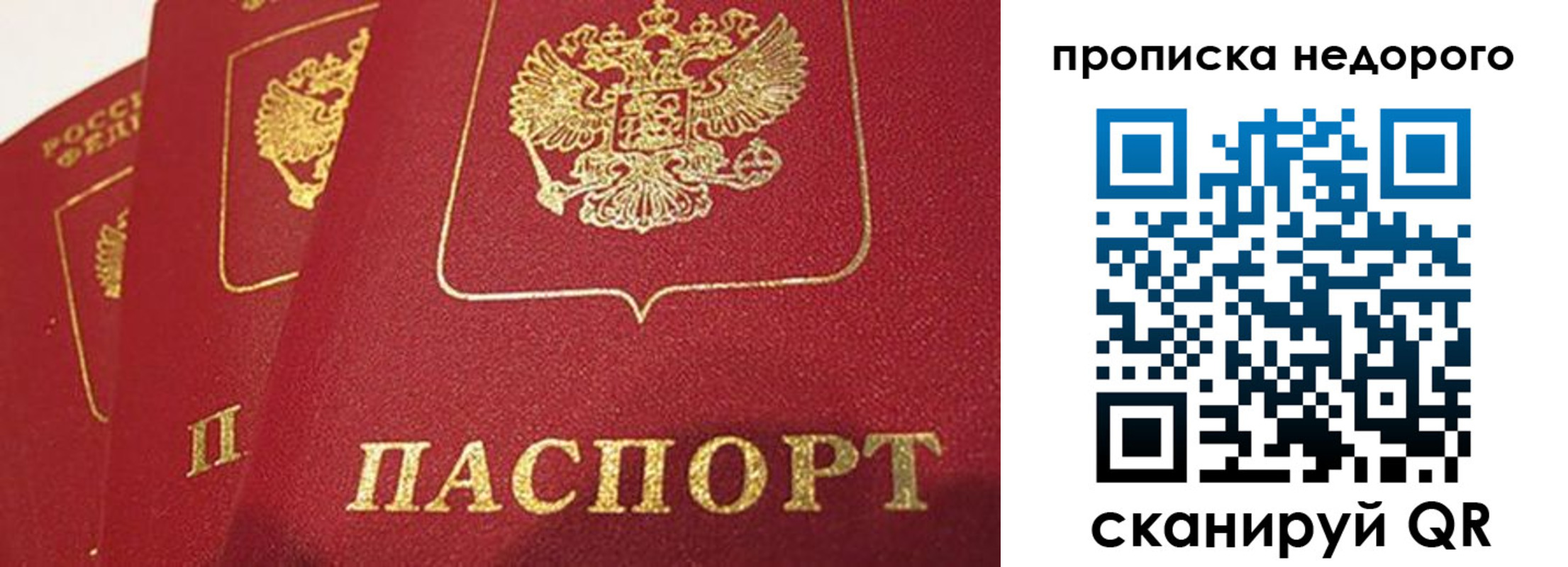 регистрация для школы в Ельне